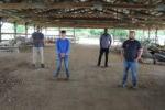 four men standing in a pavilion